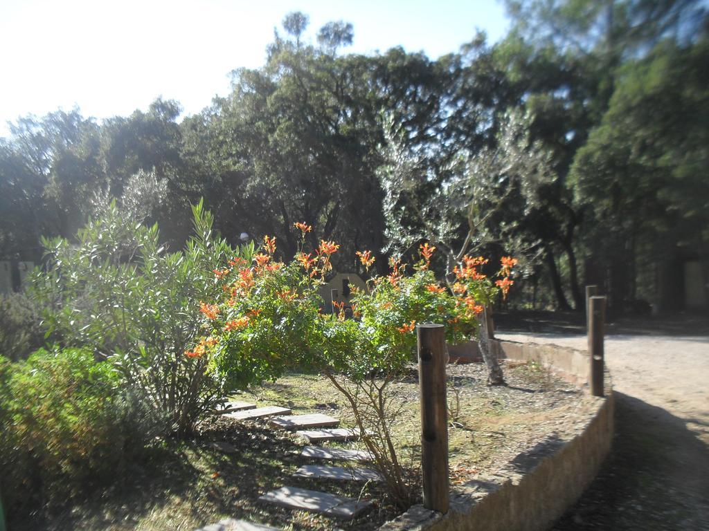 הוילה Constância Quinta Do Outeiro Alto מראה חיצוני תמונה