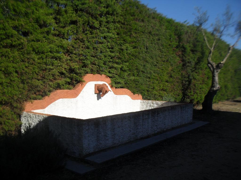 הוילה Constância Quinta Do Outeiro Alto מראה חיצוני תמונה