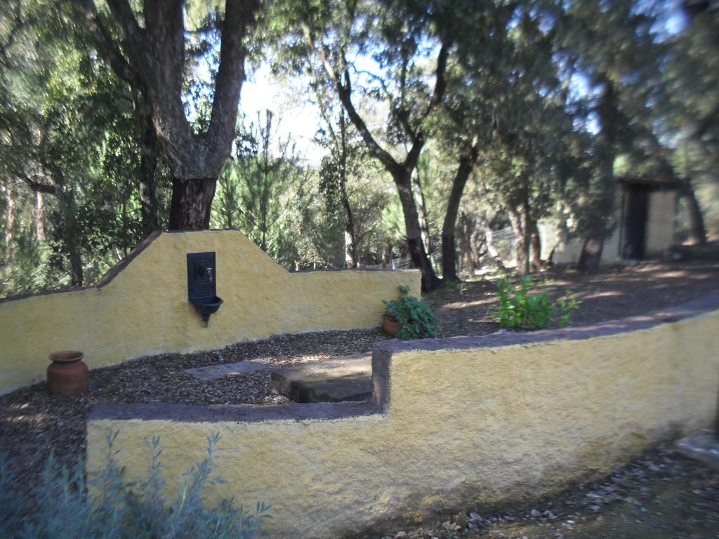 הוילה Constância Quinta Do Outeiro Alto מראה חיצוני תמונה