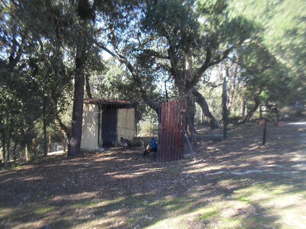 הוילה Constância Quinta Do Outeiro Alto מראה חיצוני תמונה