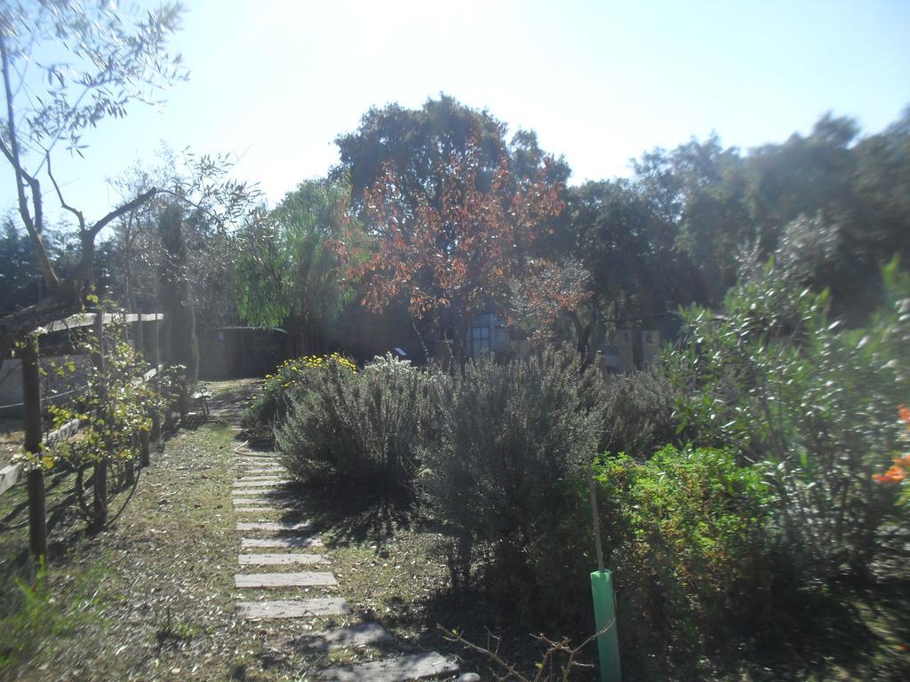 הוילה Constância Quinta Do Outeiro Alto מראה חיצוני תמונה