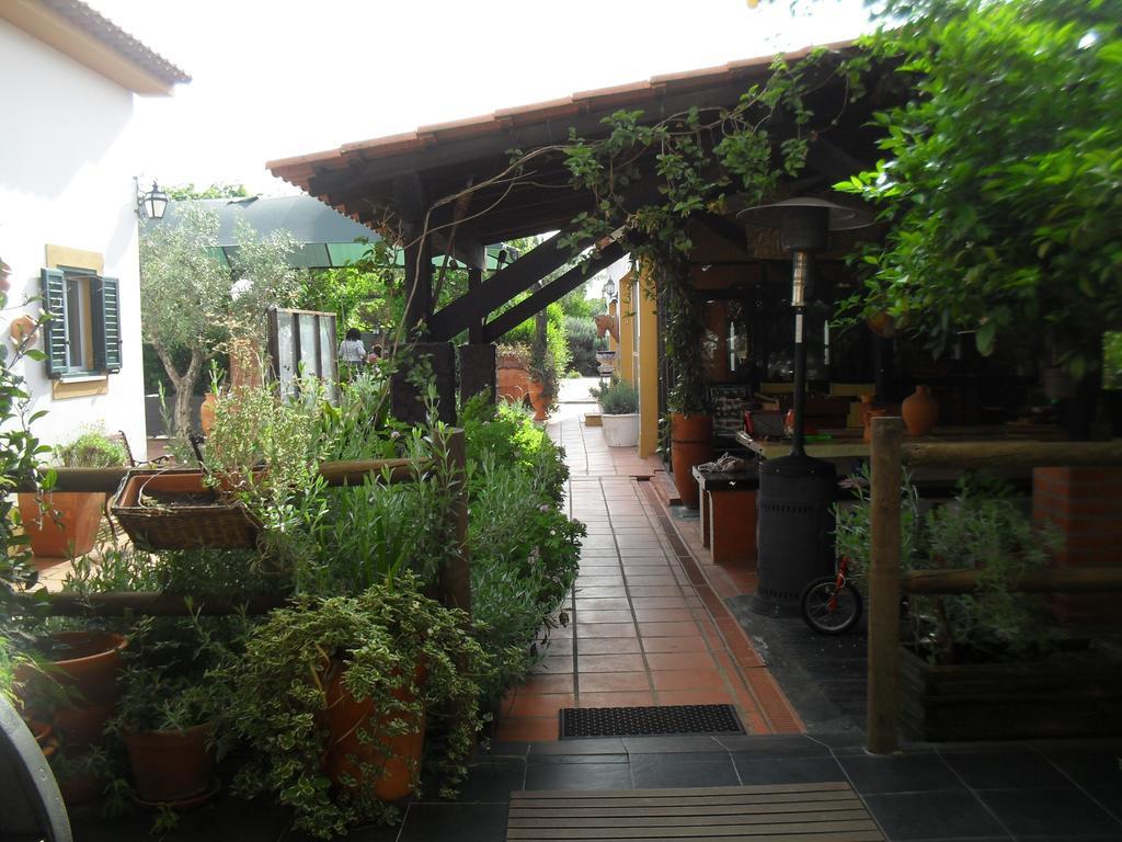 הוילה Constância Quinta Do Outeiro Alto מראה חיצוני תמונה