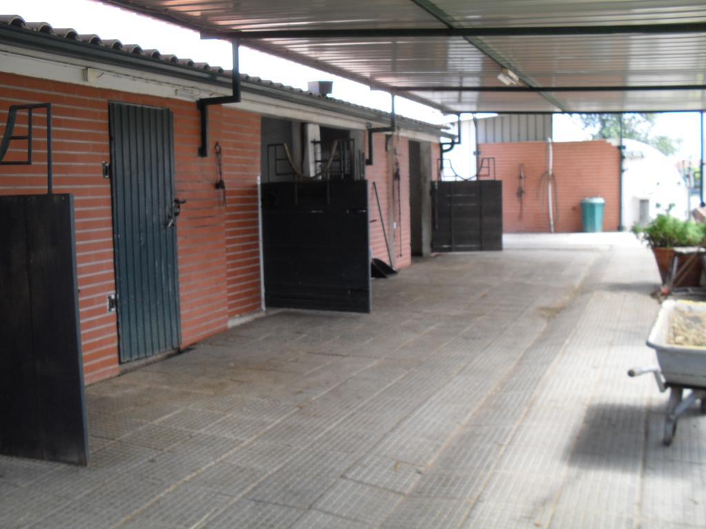 הוילה Constância Quinta Do Outeiro Alto מראה חיצוני תמונה