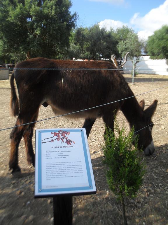 הוילה Constância Quinta Do Outeiro Alto מראה חיצוני תמונה